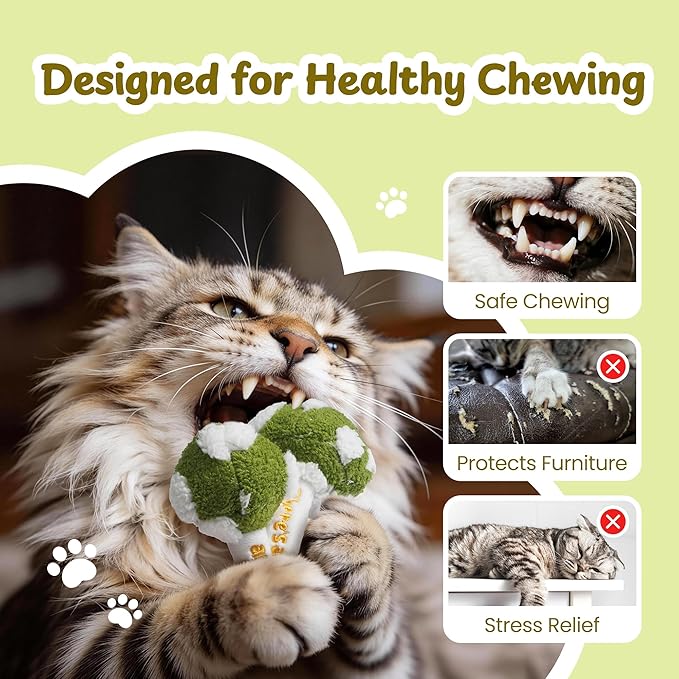 Cat Toys for Indoor Cats, Catnip and Silvervine Chew Toys with Different Textures, Funny Slang Printed Kitten Toys for Teething, Cat Toys for Bored Indoor Adult Cats, Value Multi-Pack