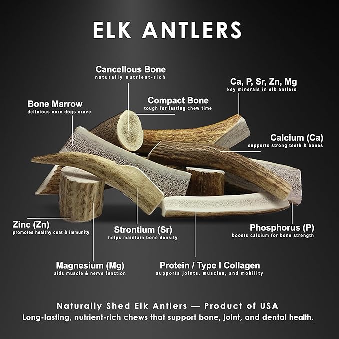 Elk Antler Dog Chews | Long-Lasting A-Grade Premium Elk Antler Chews for Dogs from Naturally Shed Elk Antlers Collected in The USA, Split, Medium (Pack of 4)