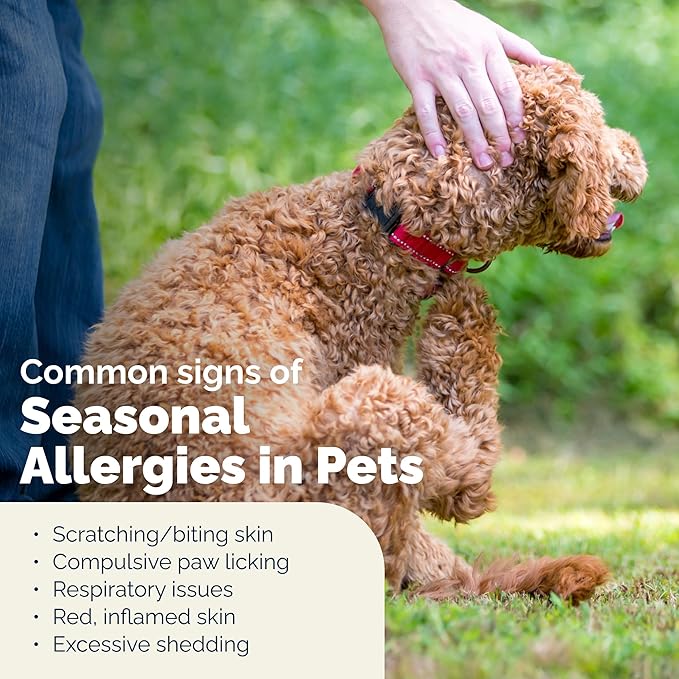 Vetnique Dermabliss Anti Itch Spray for Dogs & Cats with Hydrocortisone for Allergies and Immediate Dog Itching Skin Relief - Fragrance Free with Soothing Oat Extract (8oz)