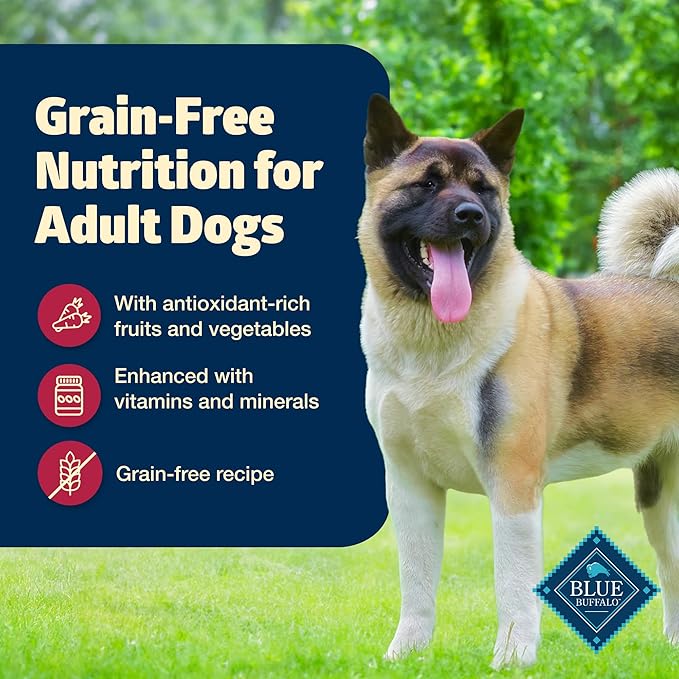 Blue Buffalo Freedom Grain-Free Wet Dog Food, Free of Glutens & Artificial Preservatives, Made with Natural Ingredients, Beef Recipe, 12.5-oz. Cans (12 Count)