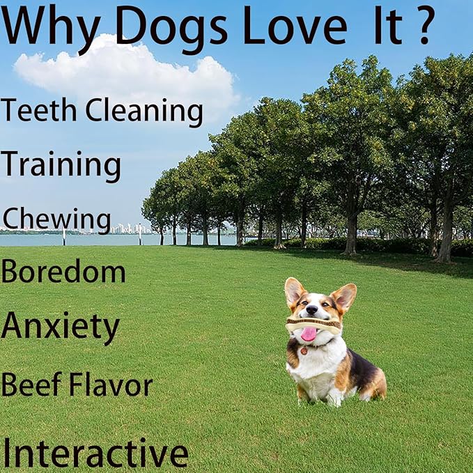 Dog Bones Chew Toys for Aggressive Chewers, 3 Pack Real Beef Flavor,Indestructible Dog Teething Chew Toys for Large/Medium/Small Breed,Tough Toy with Durable Nylon