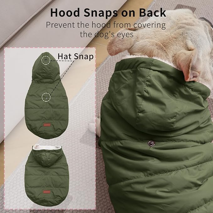 Fleece Lining Extra Warm Dog Hoodie in Winter for Medium Dogs Jacket Pet Coats with Hooded Green L