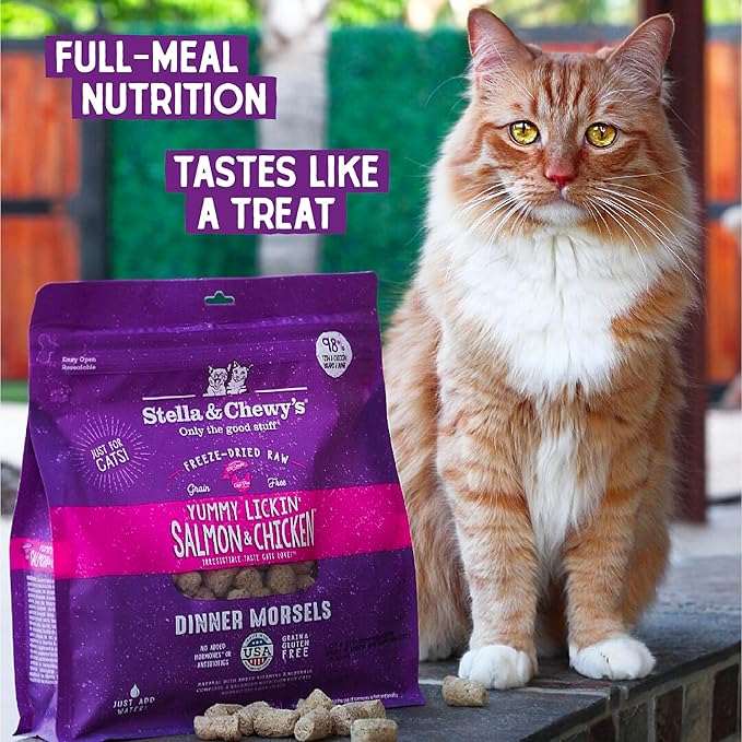 Stella & Chewy's Freeze-Dried Raw Cat Dinner Morsels - Premium Salmon & Chicken Recipe with 98% Wild-Caught & Cage-Free Protein - Natural Grain-Free Cat & Kitten Food - Made in USA - 1 oz