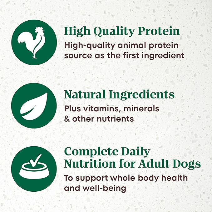 Nutro Ultra Wet Dog Food Grain Free Filets, Adult Dog Food Wet Recipe in Gravy Tender Beef Entree, 3.5 oz. Trays (24 Count, Pack of 1)