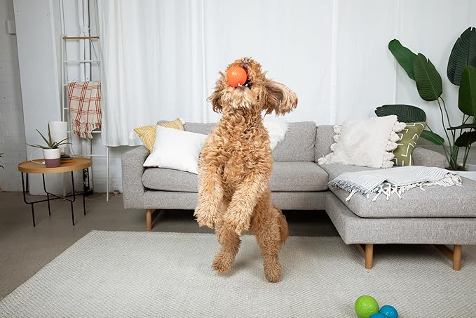 Jolly Pets Mini Jolly Soccer Ball; Floating-Bouncing Dog Toy; 3" Orange (Pack of 2)
