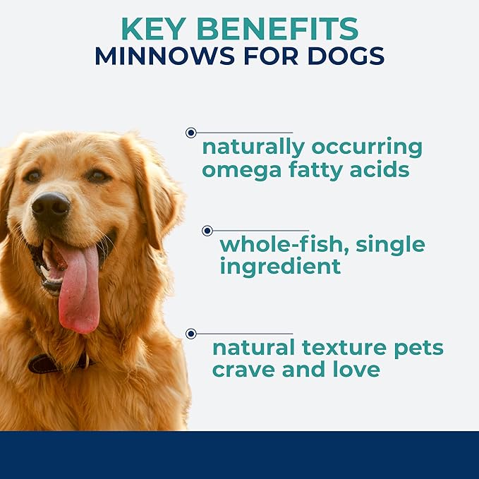Momentum Carnivore Nutrition Freeze-Dried Minnows Dog Treats & Cat Treats – Single-Ingredient, High-Protein, Grain-Free, Natural Whole-Fish Treat – Made in USA – 2 oz Bag