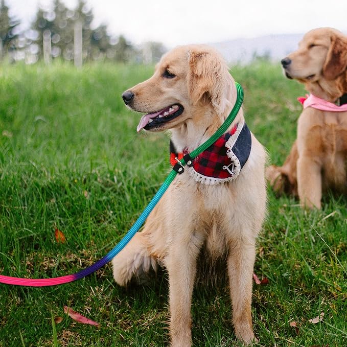 Colorful Dog Walking Leash Dog Traction Strap Nylon Pet Leash Outdoor Portable Puppy Pulling Rope Reflective Pet Supply Walking and Training