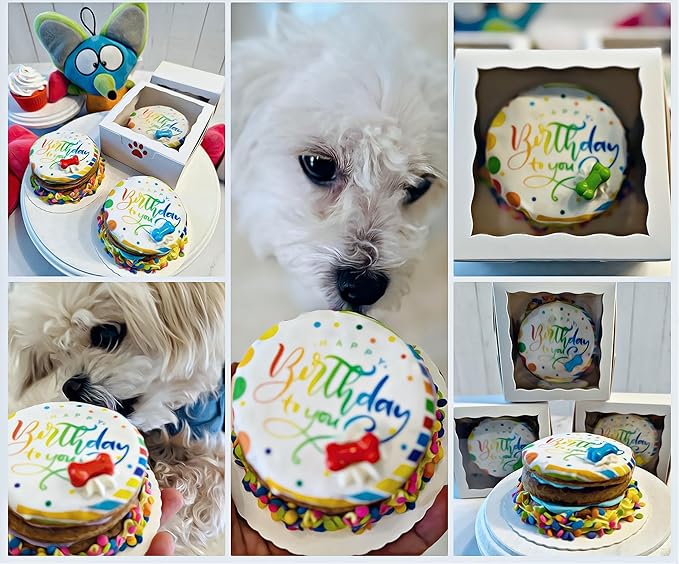 Dog Birthday Cake- Puppy Party Bright & Crunchy Cookie Treat- Bad to The Bone- Perfect Dog Party Cake Boxed & Decorated