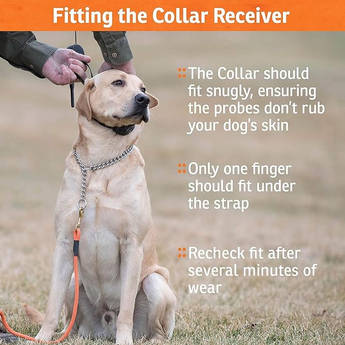 SportDOG In-Ground Fence Add-A-Dog Collar Rechargeable Dog Collar, Inground Fence for Dogs, Rechargeable Receiver, In Ground Fencing for Dogs (Black)