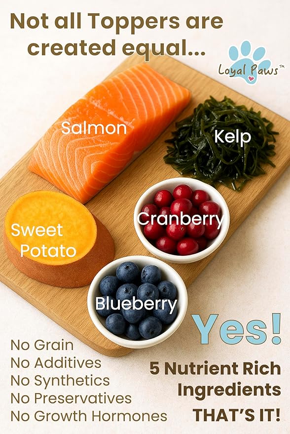 Wild Salmon Blend Raw Food Topper for Cats and Dogs, 6 oz, Natural Omega 3 Boost - 100% USA Made, Natural Dog Food Toppers