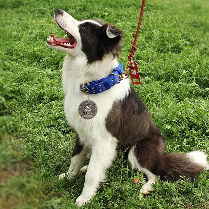 Beaupretty 4pcs German Shepherd Pet Identity Tags Retro Metal Hanging Name Tags Vintage Dog Id Charms for Collar Accessories in Pet Supplies