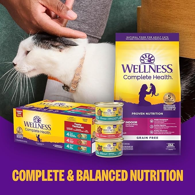 Wellness Complete Health Purrfect Duos, Adult Wet Cat Food, Natural, Protein-Rich, Grain-Free, 2.64 Ounce, 12 Pack, (Pate & Gravy Variety Pack)