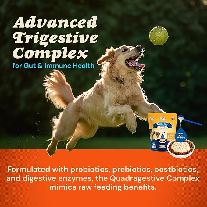 CLEAR CONSCIENCE PET® Arfredo™ SuperGravy® Natural Dog Food Gravy Topper, Hydration Broth Mix, Gluten and Grain Free Kibble Seasoning Powder Topper for Picky Eaters (9 oz. (60 Scoop))
