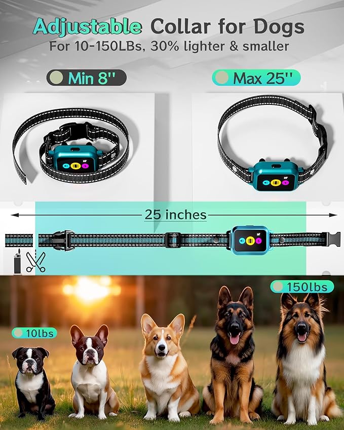 Dog Shock Collar for 2 Dogs 4200FT: Innovative Step Counter & Smart Color Screen Dog Training Collar with Remote 5 Modes, IP67 Waterproof Rechargeable Ecollars for Large Medium Small Dogs