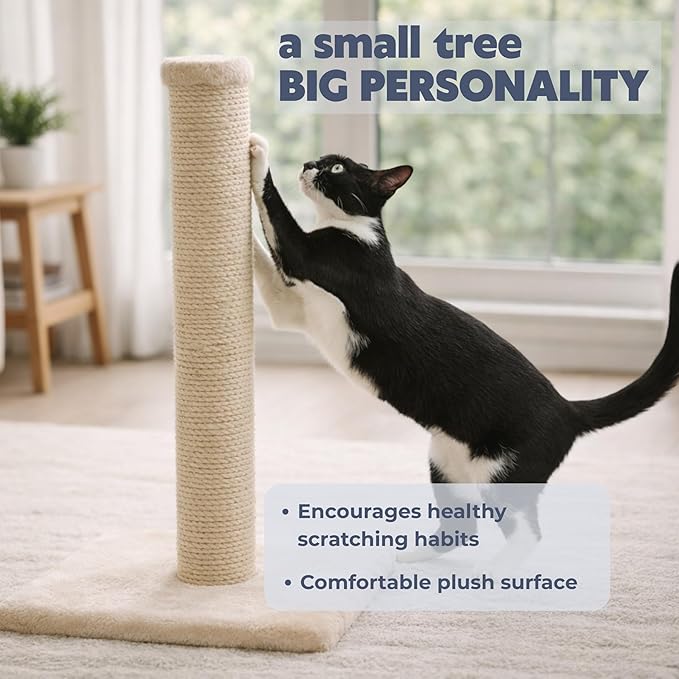 Trixie Parla Cat Scratching Post 24.4 Inch - Cat Scratcher with Soft Fabric Covering Base and Durable Sisal Rope - in Beige