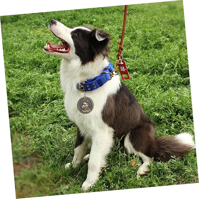 Ciieeo 4pcs Vintage Alloy Dog Collar Id Tags for Large Shepherd Dogs, Pet Identity Tags with Retro Metal Hanging Labels, Sturdy Pet Supplies for Dog Collars