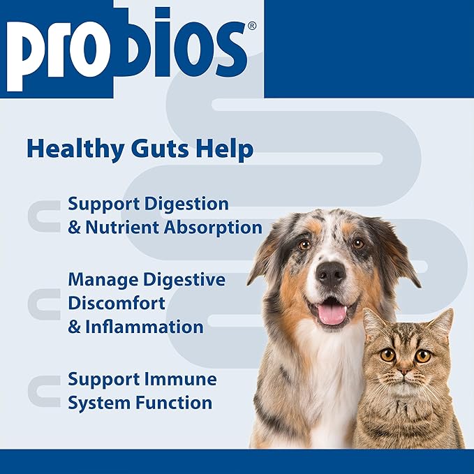 Probios Probiocin Oral Pet Gel for Dogs and Cats, Probiotic Supplement for Digestive & Immune Support, 15 g Tube (Pack of 2)