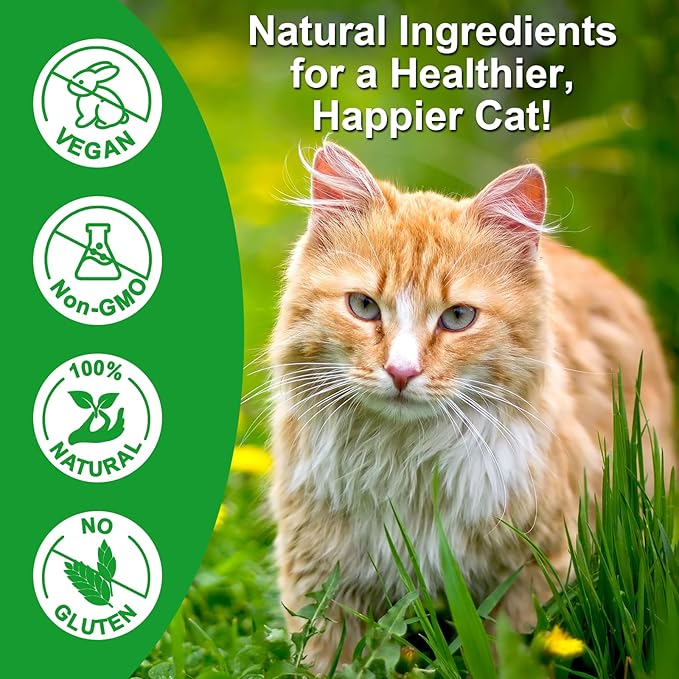 Antibiotics for Cats, Natural Antibiotic Drops Supports Immune & Allergy & Itch Relief, Vitamins Herbal Supplement, Pet Supplies Cats UTI Antibiotics, Chicken Flavor - 2 fl oz / 60ml