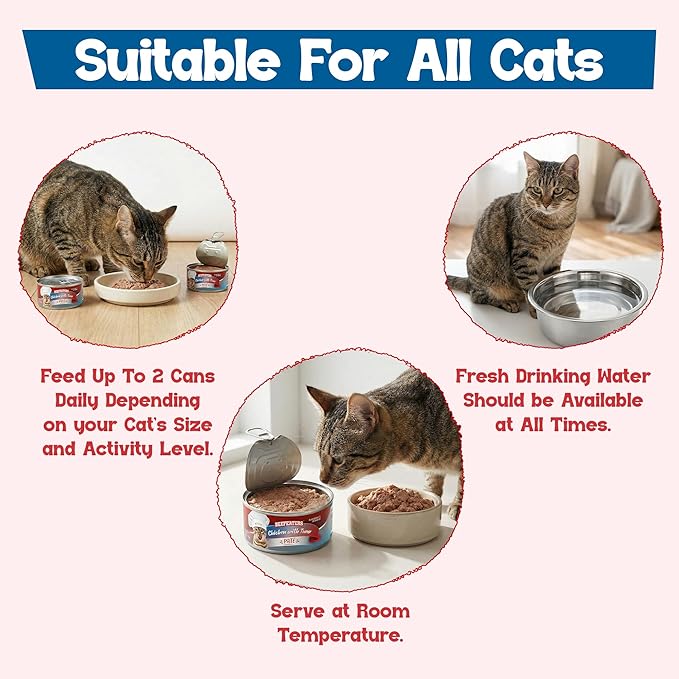 Beefeaters Chicken with Tuna Pate Wet Cat Food 5.5oz (24-Pack) | Adult Wet Food with Taurine, Premium Catfood Wet Food, No Artificial Additives, Balanced Nutrition | Supports Immune System & Vision