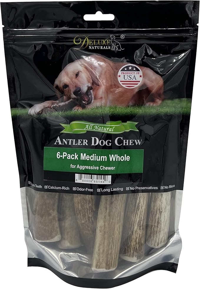 6-Pack Medium Whole Elk Antler Dog Chews (5.5 to 8+ in) – Long Lasting Natural Dog Bones for Small & Medium Dogs Under 40 lbs, Aggressive Chewers, Teeth Cleaning, No Rawhide