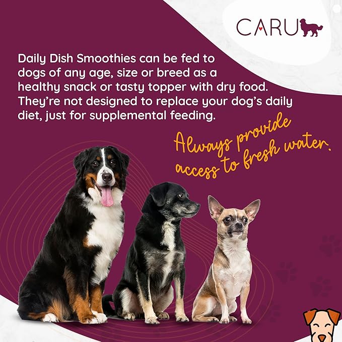 Caru - Daily Dish Smoothies - Lickable Chicken Dog Treat - .5oz Tubes - 4 Pouches Per Pack - Pack of 12
