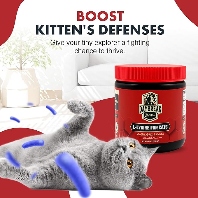 L-Lysine for Cats and Kittens - 900 mg L Lysine Powder for Cats for Immunity & Respiratory Support - Cat Supplement with L-Lysine, Prebiotics, Krill, & DMG for Immune System (120 Servings)