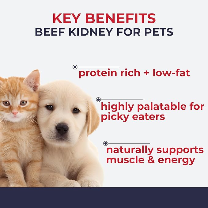 Momentum Carnivore Nutrition Freeze-Dried Beef Kidney Pet Food Topper – Single-Ingredient, All-Natural Topper – High-Protein for Dogs and Cats, Grain-Free and Made in The USA– (3.75 oz Bag)