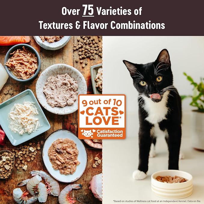 Wellness CORE Tiny Tasters Pate Adult Wet Cat Food,Natural,Protein-Rich,Grain Free,1.75 Ounce Pouch (Chicken & Beef),(Pack of 24)