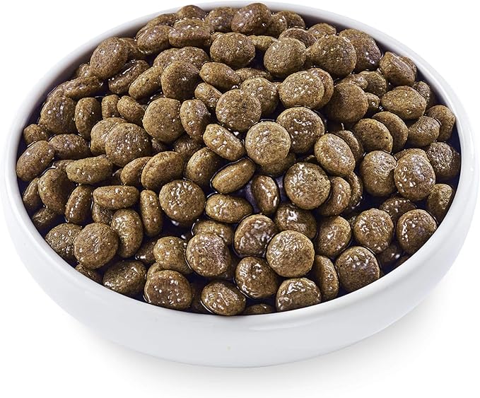 Applaws Taste Toppers Beef Bone Broth Wet Dog Food, 7.1 oz.