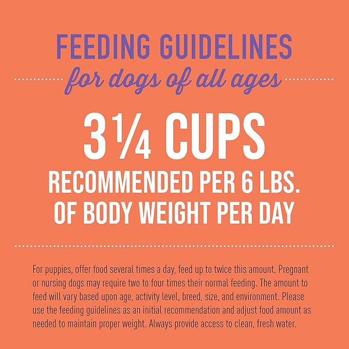 Tiki Dog Aloha Petites, Chicken & Beef, Nutrient Dense Meat, for All Dog Breeds and All Life Stages, 3 oz Cups, Pack of 12
