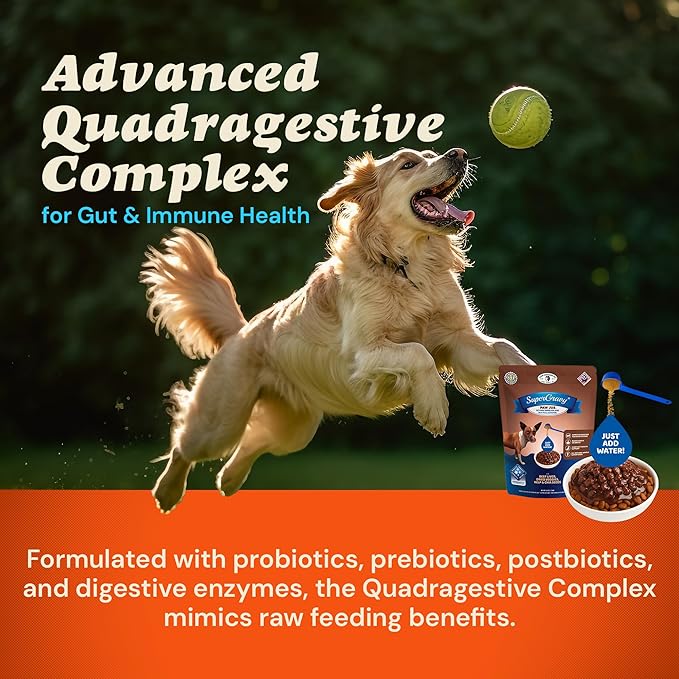 CLEAR CONSCIENCE PET® Paw Jus™ SuperGravy® Natural Dog Food Gravy Topper, Hydration Broth Mix, Gluten and Grain Free Kibble Seasoning Powder Topper for Picky Eaters (4.5 oz. (30 Scoop))