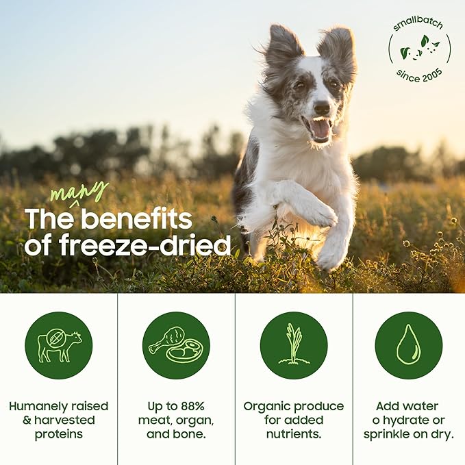 smallbatch Pets Freeze-Dried Raw Dog Food – Duck Recipe – 19oz Small Bites – High Protein, Grain Free – Complete Meal or Topper – Made in USA with Organic Superfoods 19 Oz, Duck