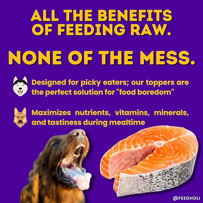 HOLI Freeze Dried Salmon Dog Food Topper - with Omega 3 & 6 - Single Ingredient, Human-Grade Wild Caught Salmon - Dog Food Flavor Enhancer for Picky Dogs – 100% All Natural - 1.5oz