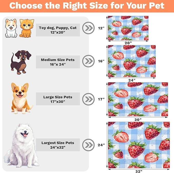 Strawberry Fruit Dog Food Mat for Floors Absorbent Dog Bowl Mat for Food and Water Dispenser Quick Dry Cat Food Placemat Pet Supplies 16" x 24", Buffalo Check