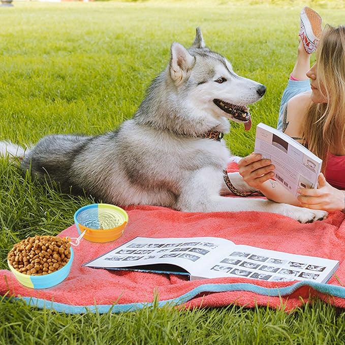 Hangable Pet Bowl Foldable Food Feeder Water Drinking Dog Supplies Travel Feeding Supply Spill Pet