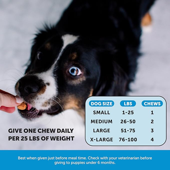 Pet Honesty Skin Health Salmon Chews - Itch Relief for Dogs, Omega 3 Fish Oil for Dogs, Natural Salmon Oil for Dog Chews for Healthy Skin & Coat, May Reduce Shedding, Dog Fish Oil Supplements - 90 Ct