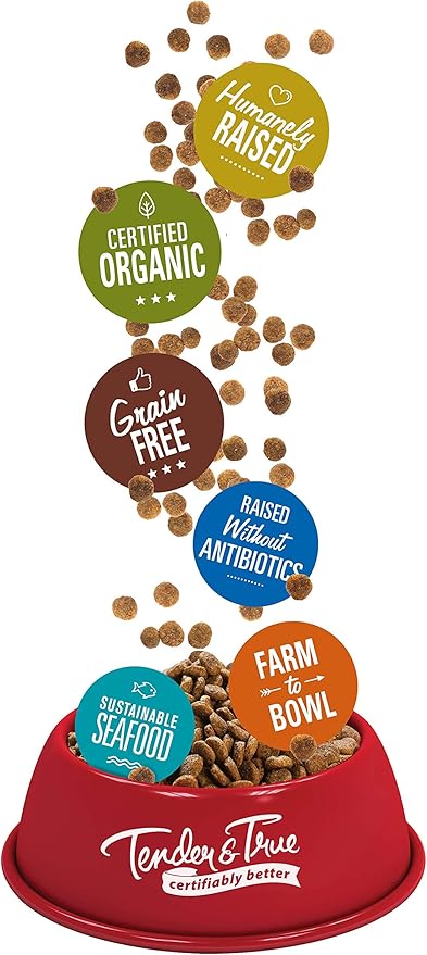 Tender & True Antibiotic-Free Turkey & Brown Rice Recipe Dog Food, 4 lb (Pack of 2)
