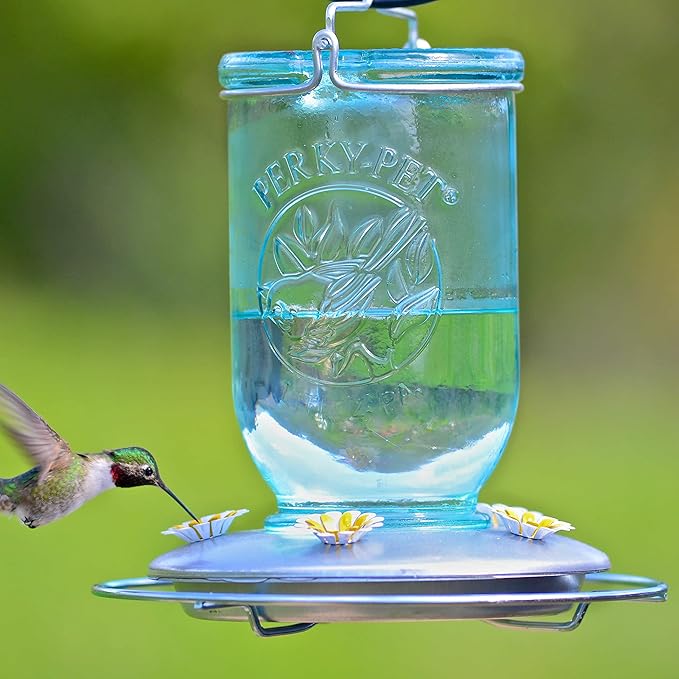Perky-Pet Mason Jar Vintage Style Glass Hummingbird Feeder 785-1SR - Humming Bird Feeders for Outdoor Garden Decor - 32 Oz Nectar Capacity