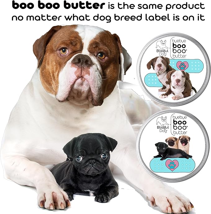 The Blissful Dog Papillon Boo Boo Butter, 0.50-Ounce