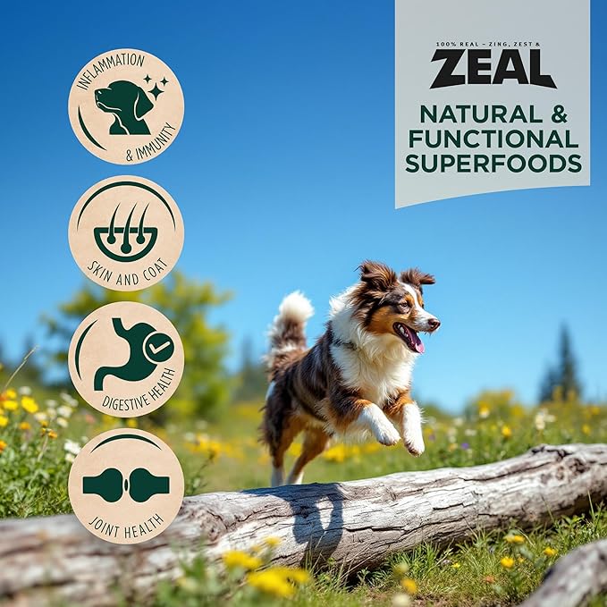 ZEAL Canada Air-Dried Salmon & Duck Recipe for Dogs - Superfood Omega-3 Rich, Dual-Protein, Grain Free, No Fillers, Complete Nutrition (Salmon & Duck, 5 oz)