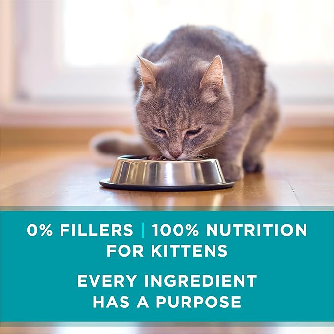 Purina ONE Grain Free, Natural Pate Wet Kitten Food, Healthy Kitten Chicken & Salmon Recipe - (Pack of 48) 3 oz. Pull-Top Cans