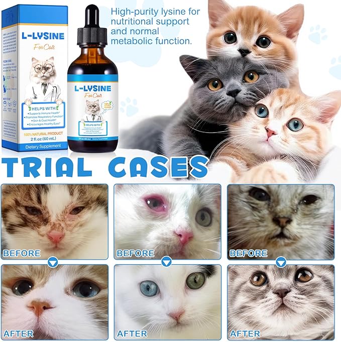 L-Lysine Liquid Drops for Cats - Chicken Flavor Immune Support & Respiratory Health Supplement with Echinacea & Vitamins - Helps Reduce Sneezing, Watery Eyes & Tear Stains, 60ml