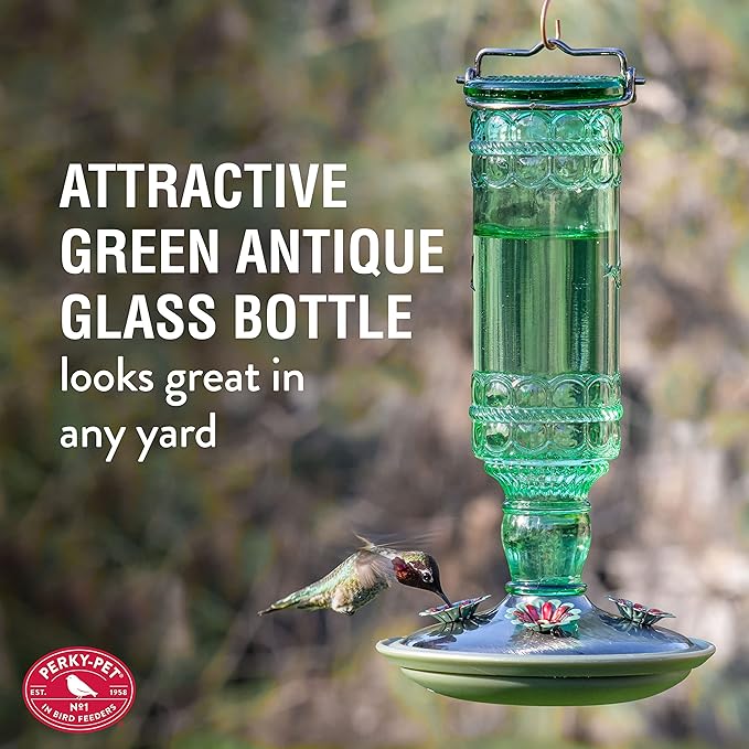 Perky-Pet Glass Bottle Hummingbird Feeder - Outdoor Garden Décor Humming Bird Feeder,8108-1SR - 10 Fl Oz Nectar Capacity - Durable Green Antique Design - Hang from Tree,Porch,Deck,Hook,(Pack of 6)