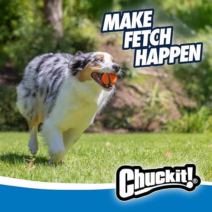 Chuckit! Ultra Ball Dog Toy - Medium Bouncy Fetch Balls For Dogs 20-60 lbs - Made from Durable Rubber - Floating Water Pet Toys - Size Medium - 2.5-inch Diameter - Pack of 2