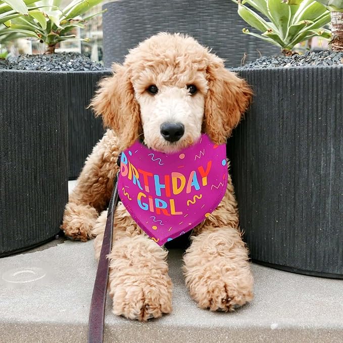 VOSAREA Pet Birthday Bandana and Dog Neckerchief 2pcs Set with Red Saliva Towel and Simulation Bone Design, Cotton Triangle Scarf for Puppy Party Supplies and Holiday Costume