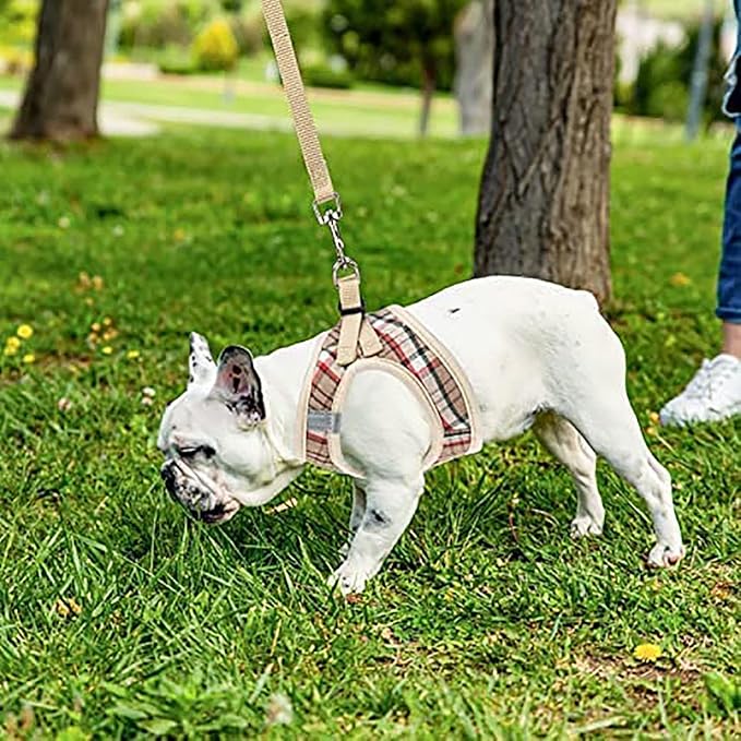 PUPTECK Adjustable Dog Harness Collar and Leash Set Step in No Pull Pet Harness for Small Medium Dogs Puppy and Cats Outdoor Walking Running, Soft Mesh Padded Reflective Vest Harnesses, Khaki XXS