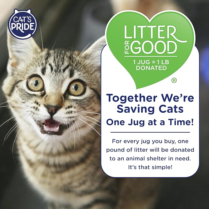 Cat's Pride NEW Antibacterial Cat Litter: Destroys 99.9% of Odor-Causing Bacteria - Powerful Odor Control - Premium Lightweight Clumping Litter - Scented, 12 Pounds