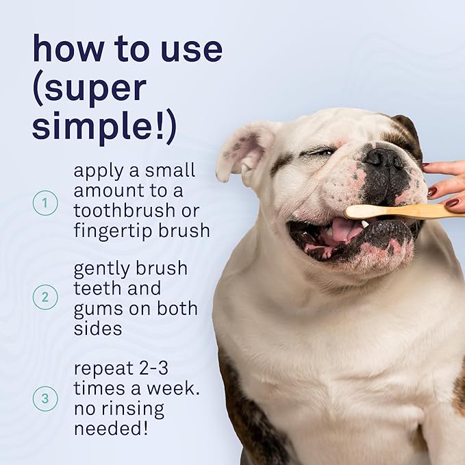 Petpost | Toothpaste for Dogs - Coconut Oil and Baking Soda Based Dental Gel That Naturally Eliminates Bad Breath - Dirt, Gunk, and Tooth Buildup Gone - Mint Flavor 4 oz.