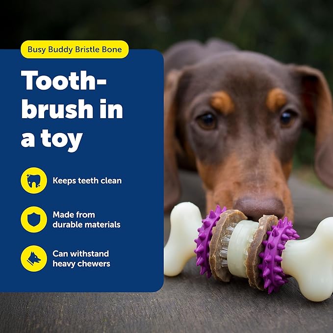 PetSafe Busy Buddy Bristle Bone - Chew Toy for Dental Health Support - Durable Dog Plaything for Tough Chewers - Includes 4 Refillable Treat Rings - Safe Chew Toy for Large Dogs (50-90 lbs)