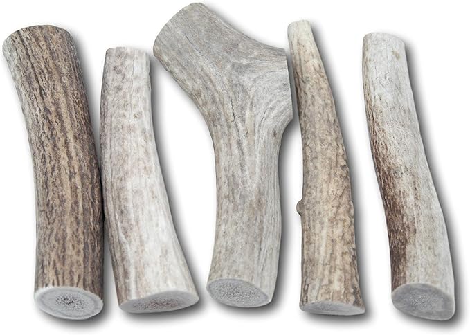Top Dog Chews – USA Elk Antlers, Premium, Grade A, Thick, Elk Antlers for Extra Large, Large, or Medium Dogs, Natural, Long Lasting Dog Chew for Aggressive Chewers, 5 Pack